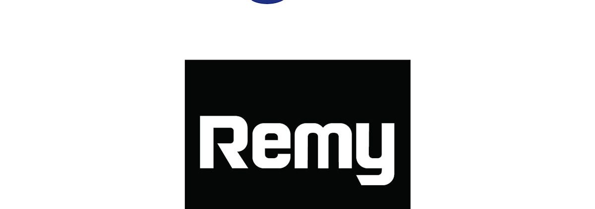 BorgWarner Remy tb