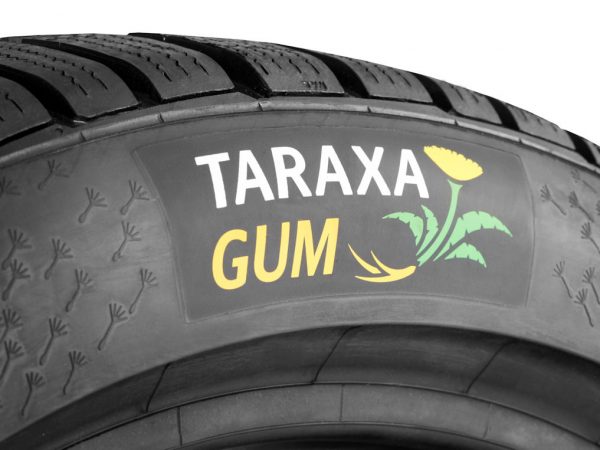 Taraxagum Tirekl1
