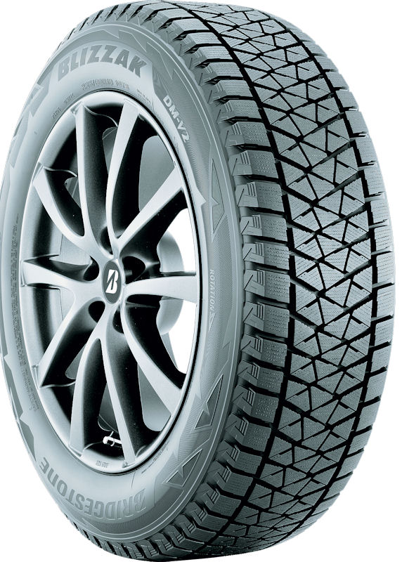 Bridgestone Blizzak DM V2 tb