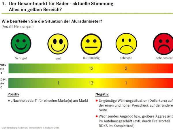 Felgenpanel