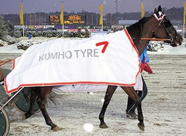 Kumho Schweden tb