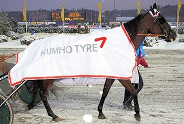 Kumho Schweden tb