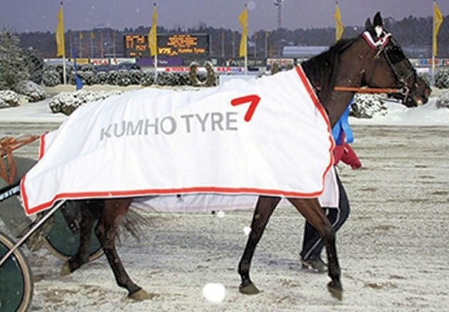Kumho Schweden tb