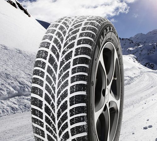 Maxxis Arctictrekker WP 05