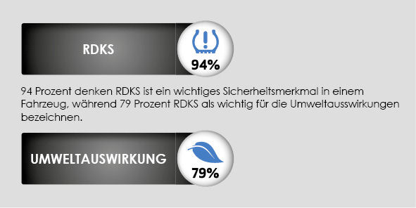 RDKSbrv1