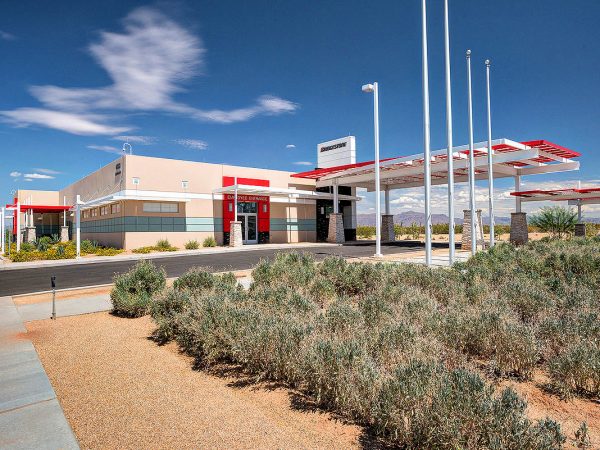 Bridgestone Guayule Farm tb