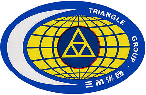 Triangle Logo tb