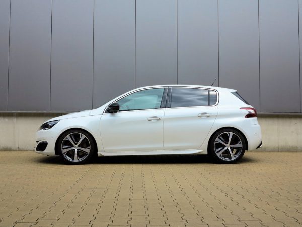 HundR Peugeot tb