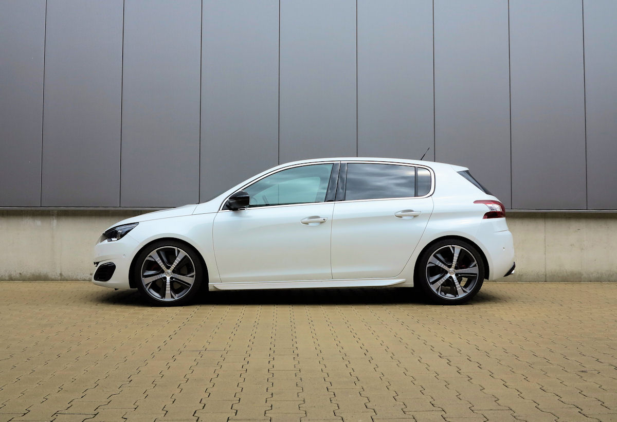 HundR Peugeot tb