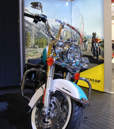 Dunlop American Elite