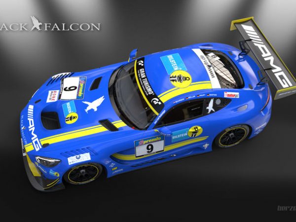 Bilstein Black Falcon
