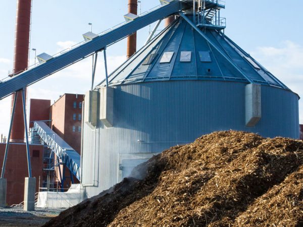 Biomass