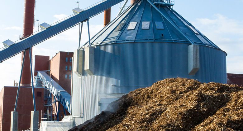 Biomass