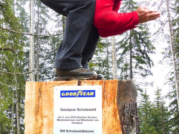 Goodyear Urs Raeber klein