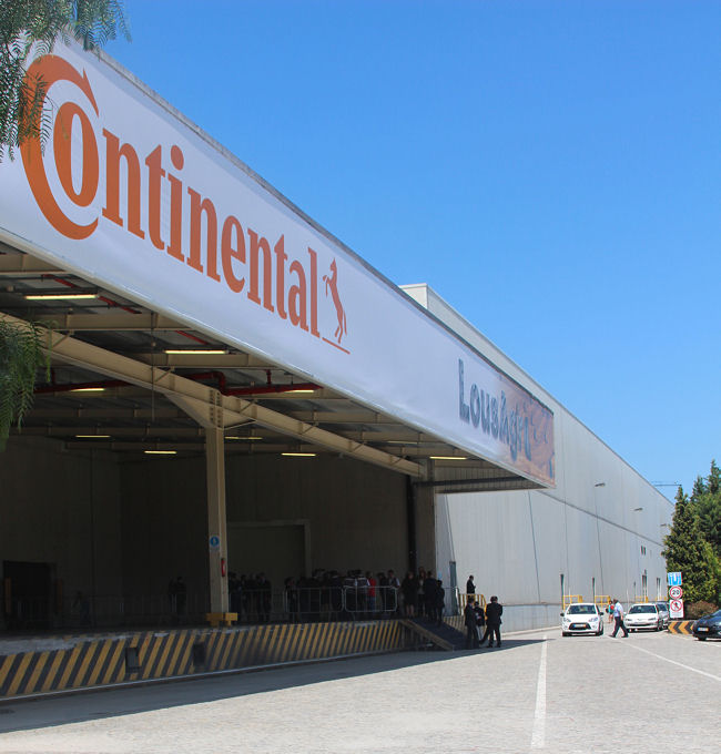 Conti LousAgro