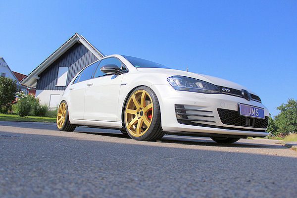 JMS Gold tb