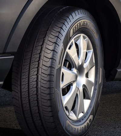 Goodyear EfficientGrip Cargo