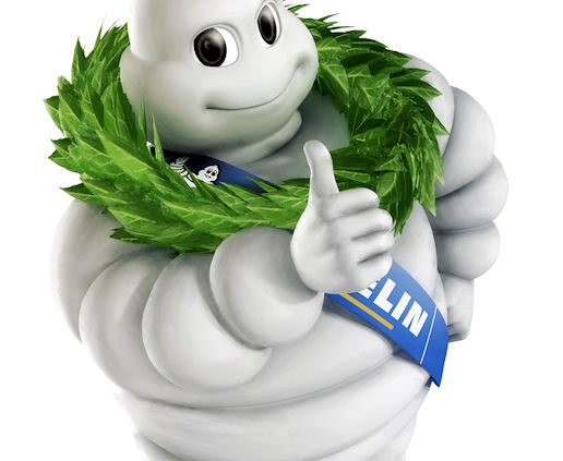 Michelin BrandIndex tb
