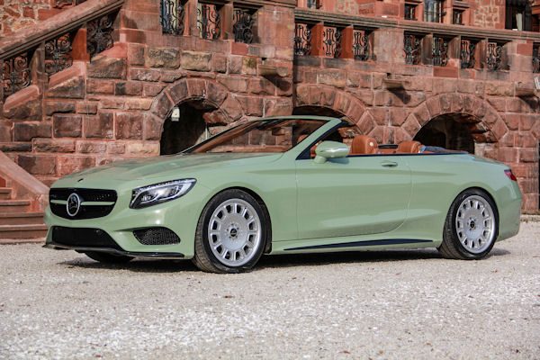 Carlsson Diospyros tb