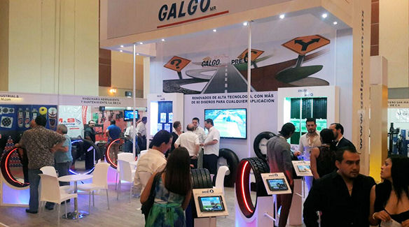 Galgo Messe tb