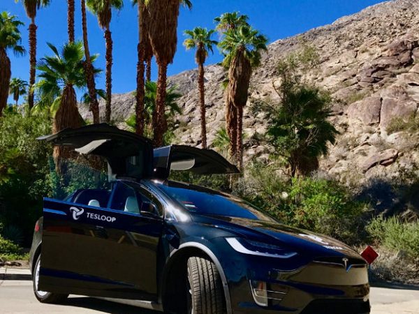 Goodyear und Tesloop
