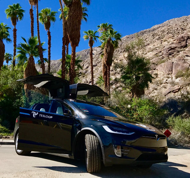 Goodyear und Tesloop