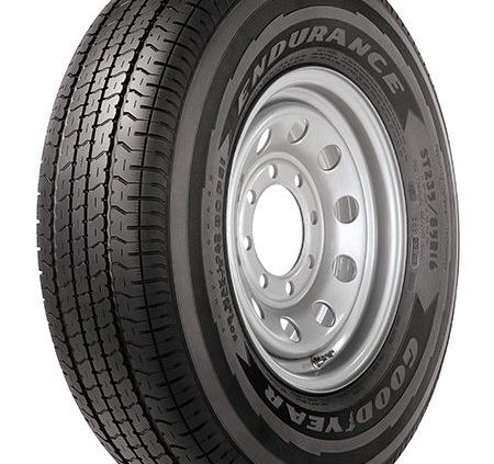 Goodyear Endurance