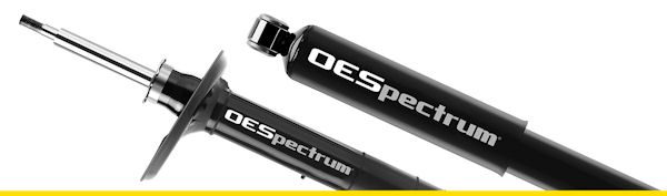 Monroe OESpectrum 2 klein