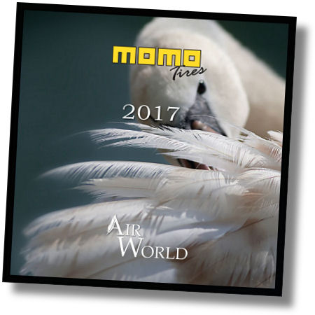 Univergomme Momo Tires Kalender 2017