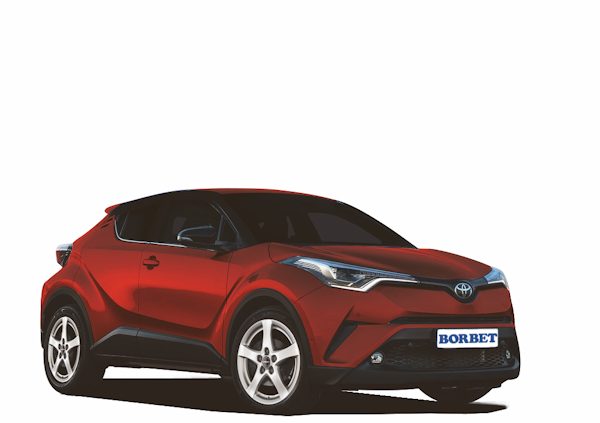 BORBET F bs Toyota C HR klein