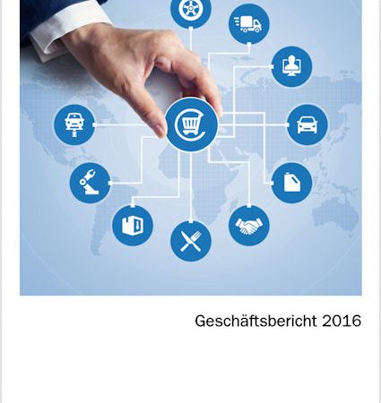 Delticom FY2016 tb