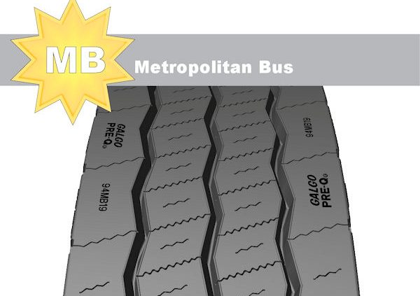 Galgo MB 001 tb