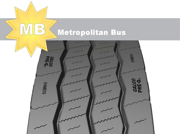 Galgo MB 001 tb