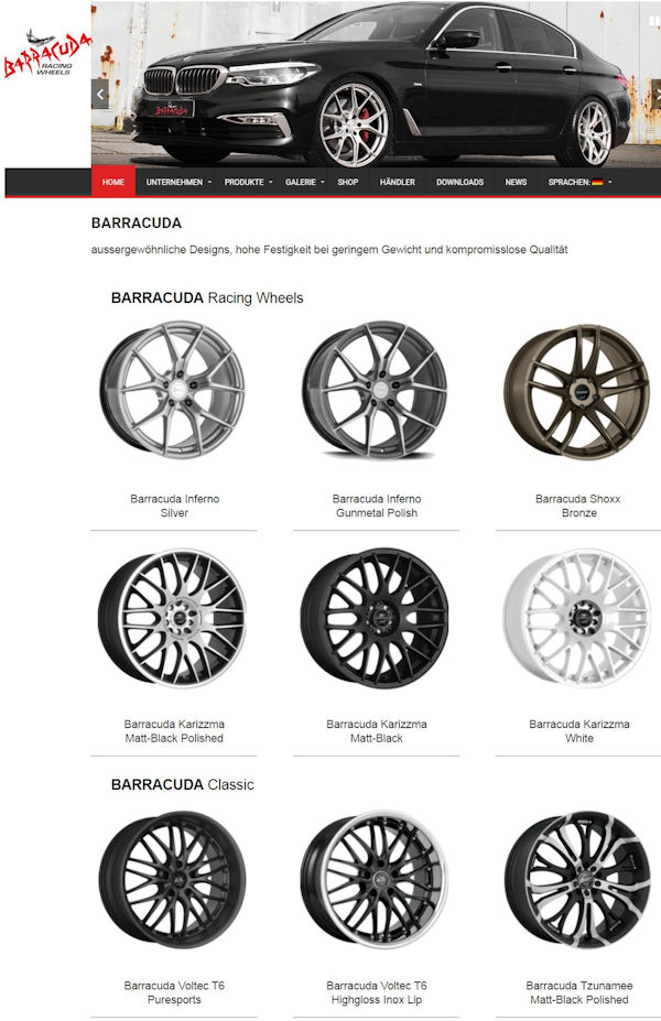 barracuda web klein