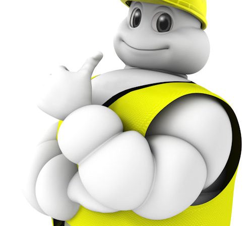 Michelin Steinexpo tb