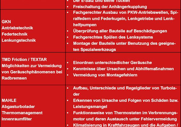 schulungsinhalte klein