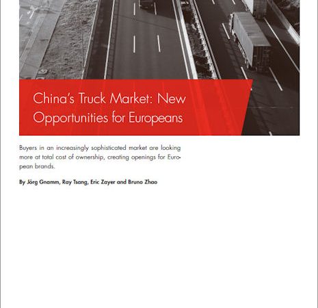 China Lkw Markt Bain tb