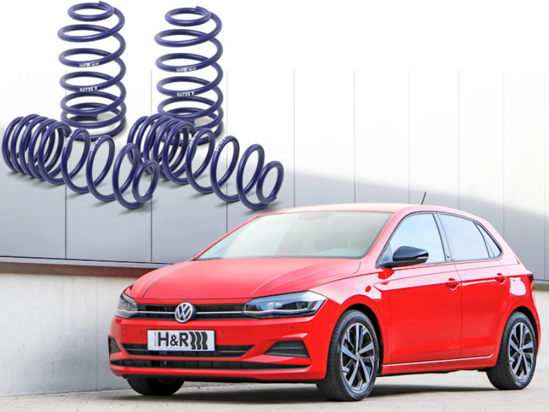 HundR VW Polo tb
