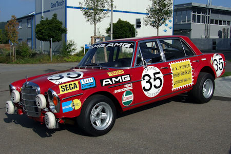Rote Sau klein 1