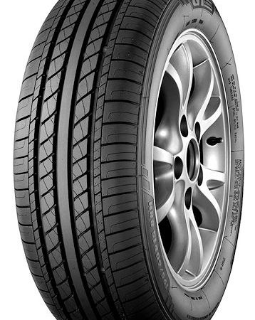 GT Radial Champiro VP1