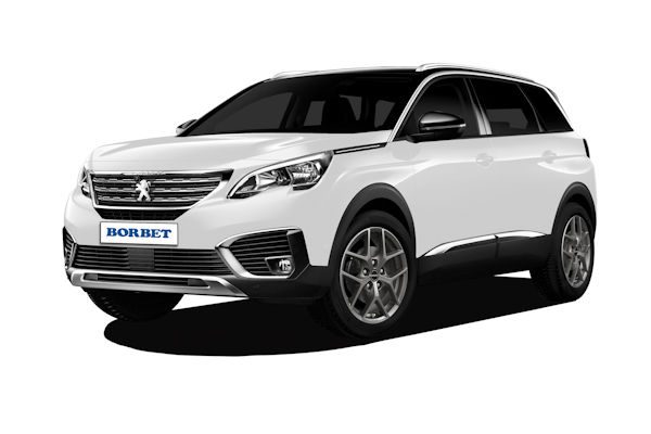 2BORBET Y tm Peugeot 5008M klein