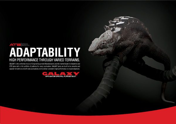 Adaptability 01 002 klein 1
