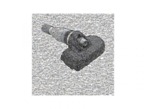 Alligator 1 Alligator 1