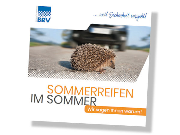 BRV Verkaufshelfer Sommerreifen im Sommer 1