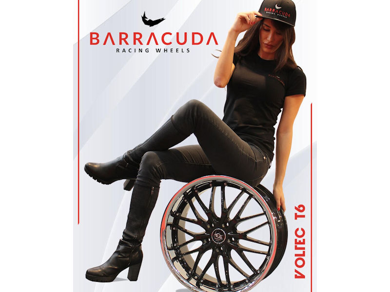 Barracuda 1