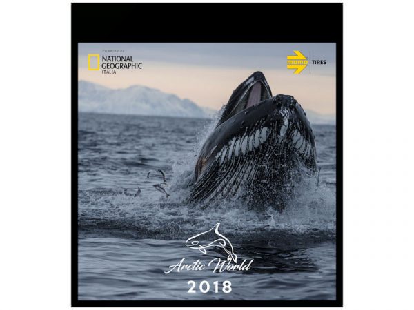 Momo Tires Kalender tb Momo Tires Kalender tb