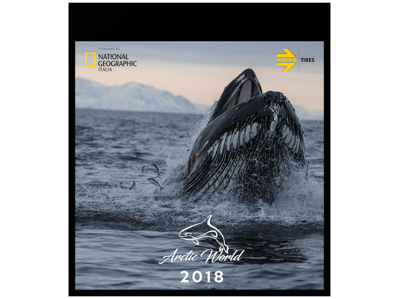 Momo Tires Kalender tb