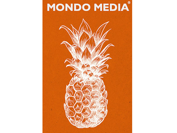 Saitow Mondo Media Version 7 1