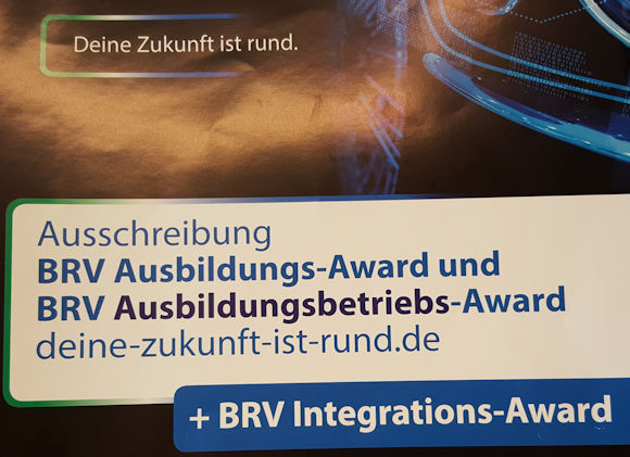 BRV Award klein