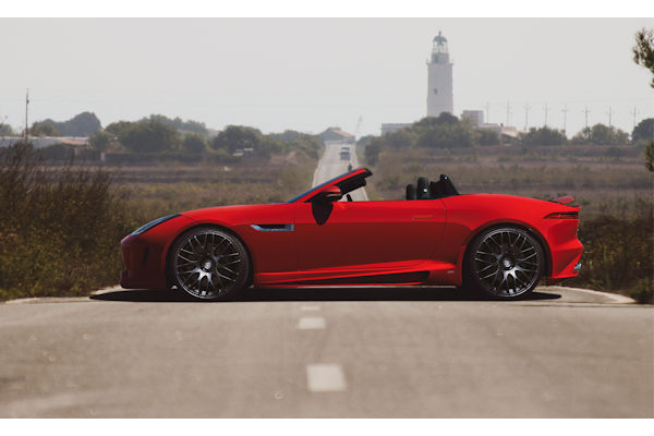 Jaguar Seite klein 1 1
